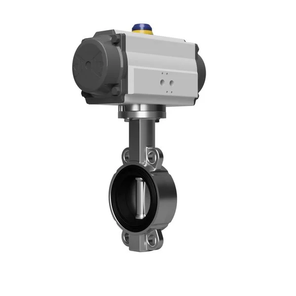 Pneumatic Valve Actuators