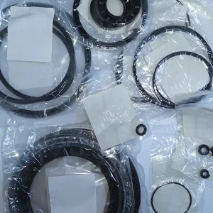 Z012.582 - SAEX 35.1 (Seal Kit )